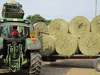 Big hay bales
