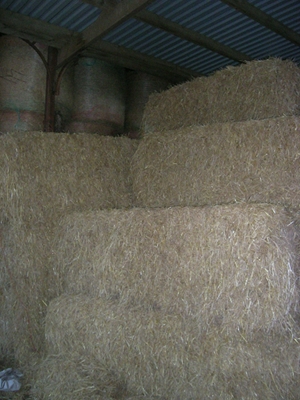 straw_300