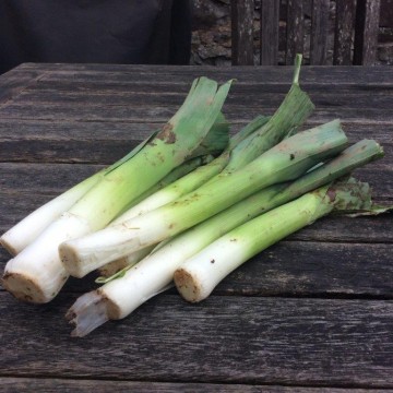 leeks