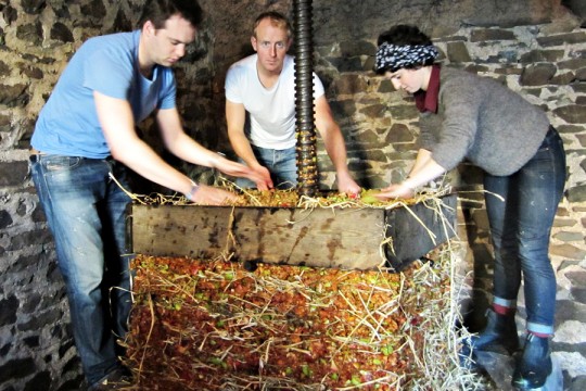 Apple-pressing-last-year