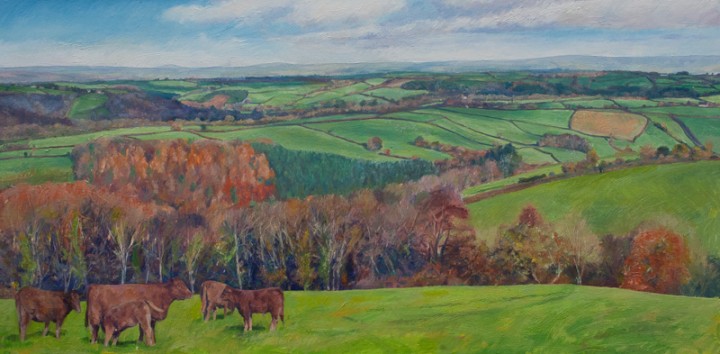 Higher Hacknell Autumn-1