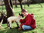 A new lamb
