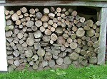 The wood pile